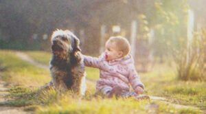 Een man hoort zijn hond van veraf blaffen en vindt hem zittend naast een verlaten baby.