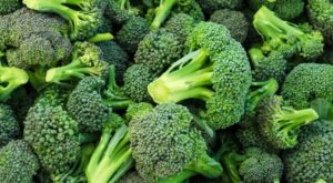 Teruggeroepen broccoli bedreigt 20 staten terwijl de FDA het risico naar het hoogste niveau verhoogt.