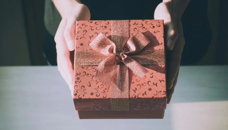 Mijn tante haalde oma over om een "familievakantie" te betalen – en zette haar toen af bij een goedkoop motel, terwijl zij in luxe leefde, maar uiteindelijk waren wij het die het laatst lachten.