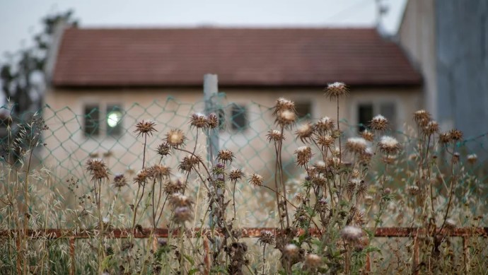 Cleaner Stapte Het Huis Van Een Vreemde Binnen — Toen Een Stapel Verjaardagskaarten Een Hartverscheurend Geheim Onthulde