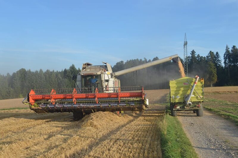 Woonwagen: hoe een verlaten trailer veranderde in een echt gezellig nestje
