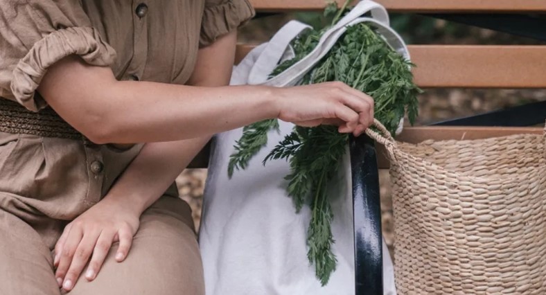 Ik was klaar om mijn moestuin op te geven – totdat een eenzame jongen me herinnerde aan wat een thuis echt betekent.