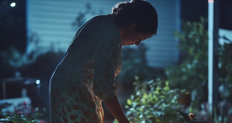 Mijn vrouw begon midden in de nacht ‘de planten water te geven’ – dus keek ik naar buiten en kon niet geloven wat ze echt aan het doen was.