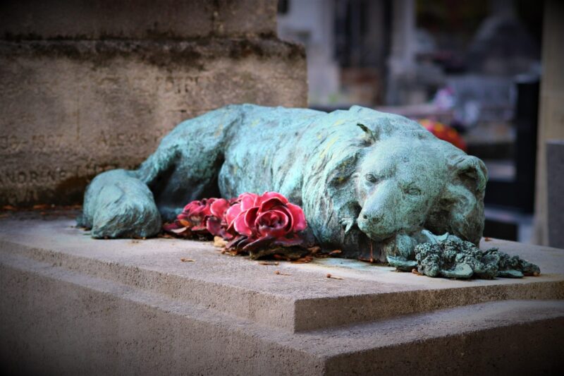 Rex, de Vierpotige Held: Een Hond Die Voor Ons Leefde