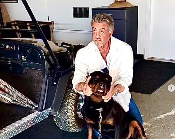 Sylvester Stallone ergert buren met plannen voor zijn villa van 35 miljoen dollar in Palm Beach – foto’s van zijn leven thuis