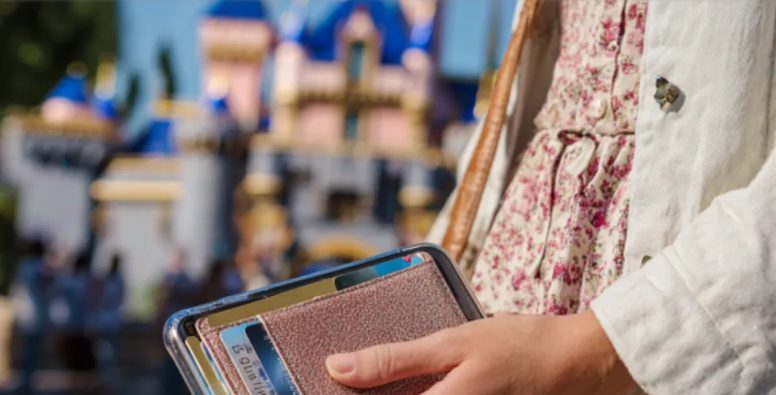Mijn tante verdween met mijn ID en geld in Disneyland — ik bedacht het perfecte wraakplan in de trein naar huis.