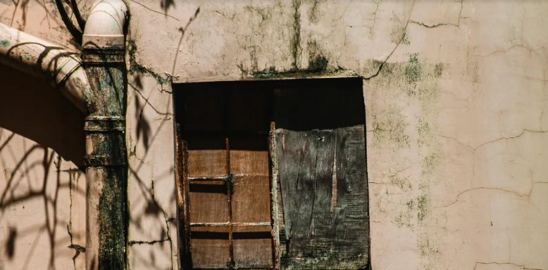 Mijn familie lachte toen ik de oude boerderij erfde – totdat projectontwikkelaars me 2 miljoen dollar boden.