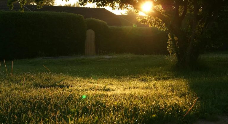 Mijn toekomstige schoonzus heeft mijn tuin verpest voor haar bruiloft – mijn huwelijkscadeau liet haar sprakeloos achter.