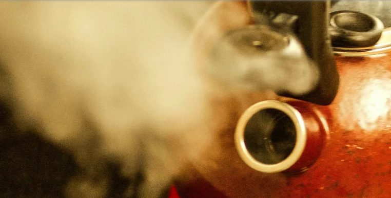 Mijn schoonmoeder verbood mij en mijn kinderen om een hele week de badkamer te gebruiken – toen ik haar negeerde en toch naar binnen ging, schreeuwde ik.