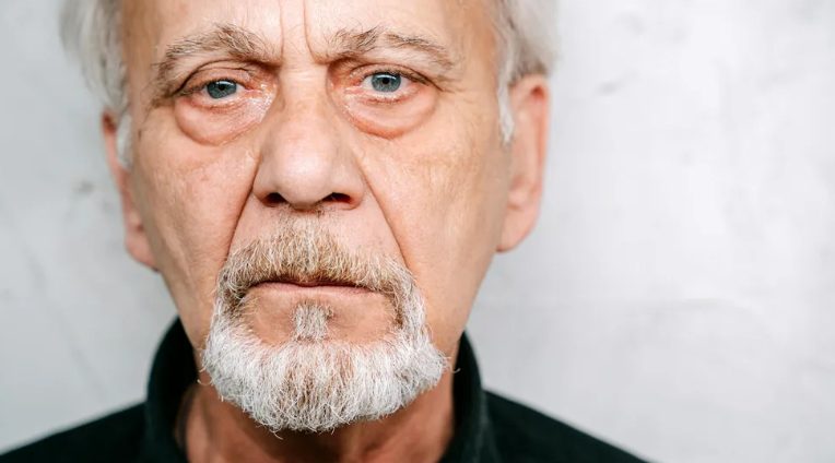 Ik kocht eten voor een arme oude man en zijn hond – Wat ik de volgende ochtend voor mijn deur zag, liet me sprakeloos