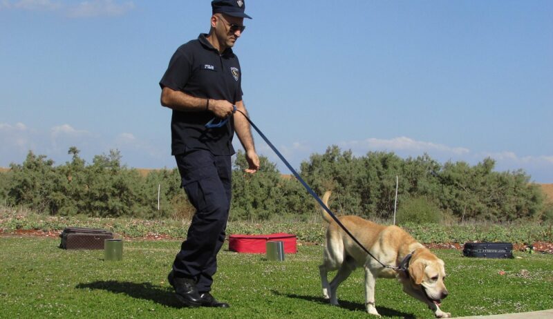 Te midden van de vlammen: Een heldhaftige hond die de wetten van liefde herschreef