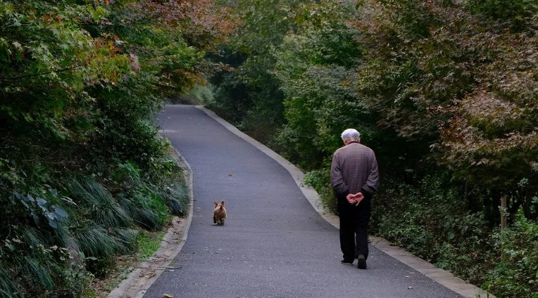 Ik kocht eten voor een arme oude man en zijn hond – Wat ik de volgende ochtend voor mijn deur zag, liet me sprakeloos