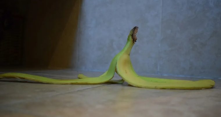 Mijn volwassen schoondochter liet overal afval achter in mijn huis en behandelde me als een schoonmaakster — dus gaf ik haar een les.