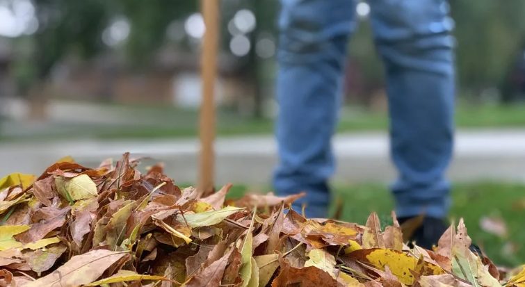 Een moeder ziet het graf van haar schoondochter een jaar na de dood van haar zoon – Verhaal van de dag