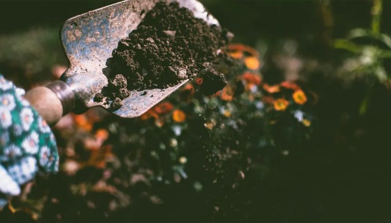 Mijn toekomstige schoonzus heeft mijn tuin verpest voor haar bruiloft – mijn huwelijkscadeau maakte haar sprakeloos.