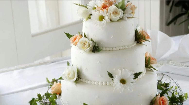 Mijn verloofde duwde mijn gezicht tijdens het aansnijden van de taart als een „grap” in de taart – ik was bijna in tranen toen mijn broer iedereen shockeerde.