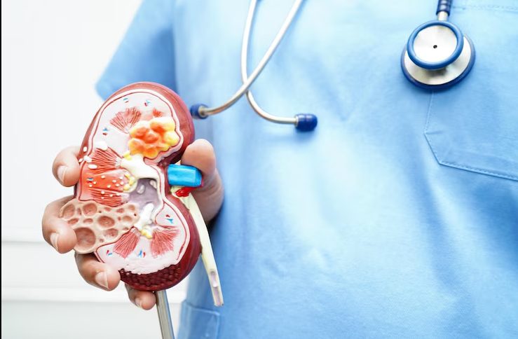Mijn man had een nierdonor nodig – Ik dacht dat onze nachtmerrie voorbij was totdat ik mijn schoonmoeder hoorde fluisteren: 'Vertel het haar nog niet'